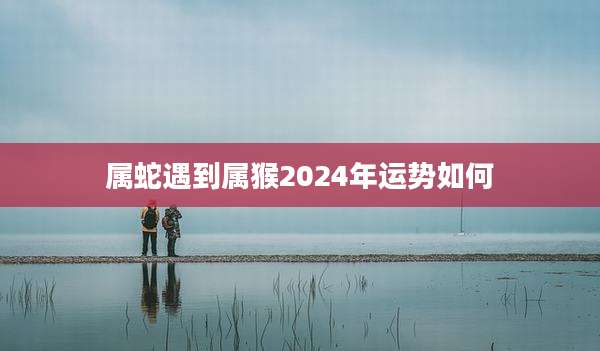 属蛇遇到属猴2024年运势如何