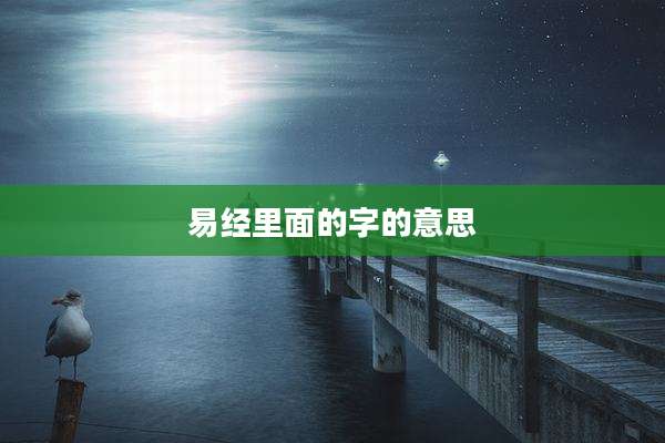 易经里面的字的意思