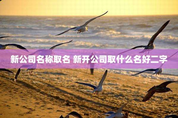 新公司名称取名 新开公司取什么名好二字
