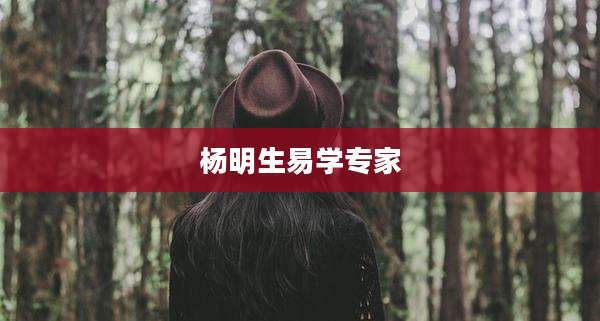 杨明生易学专家