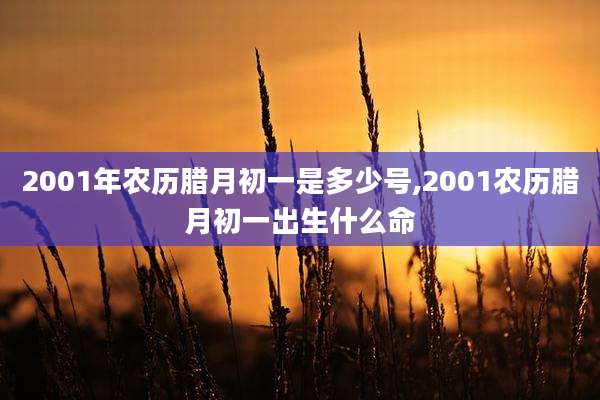 2001年农历腊月初一是多少号,2001农历腊月初一出生什么命