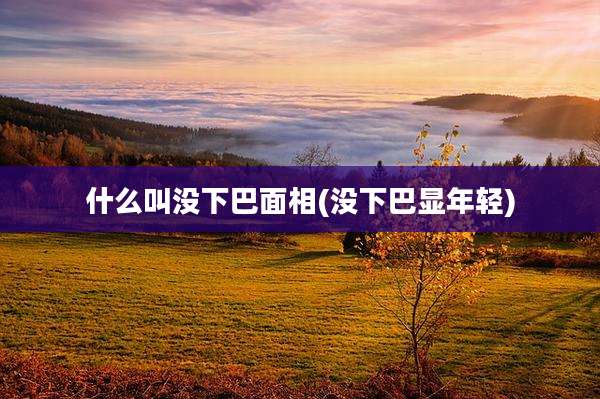 什么叫没下巴面相(没下巴显年轻)