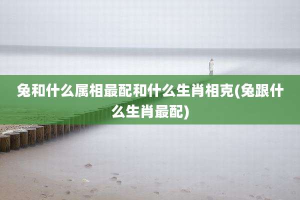 兔和什么属相最配和什么生肖相克(兔跟什么生肖最配)