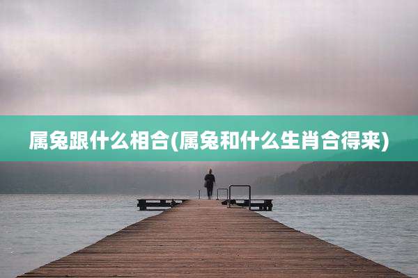 属兔跟什么相合(属兔和什么生肖合得来)