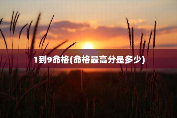 1到9命格(命格最高分是多少)