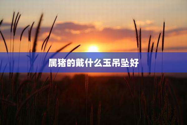 属猪的戴什么玉吊坠好