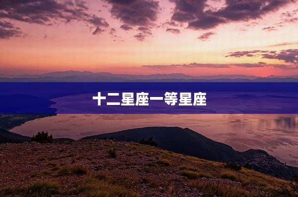 十二星座一等星座