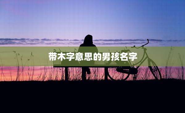 带木字意思的男孩名字