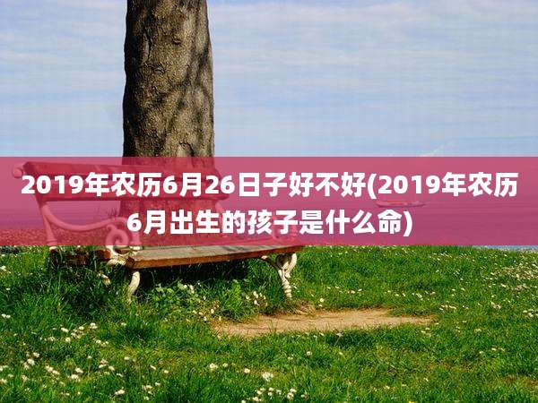 2019年农历6月26日子好不好(2019年农历6月出生的孩子是什么命)