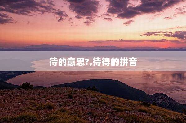 待的意思?,待得的拼音