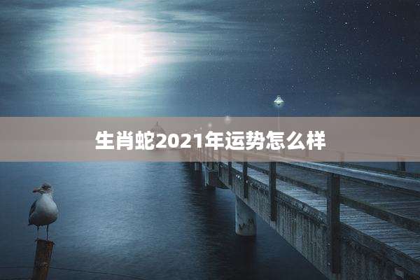 生肖蛇2021年运势怎么样