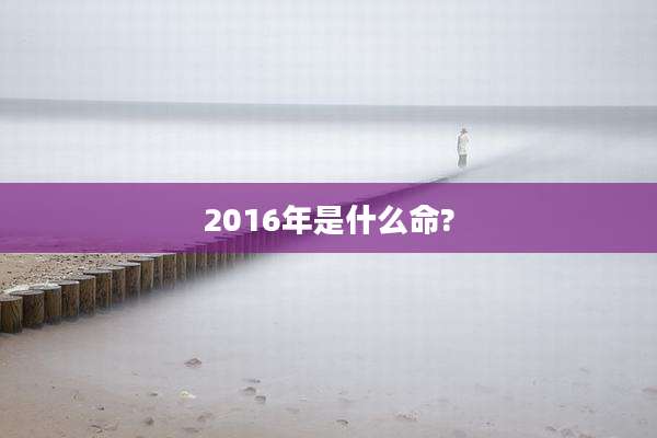 2016年是什么命?