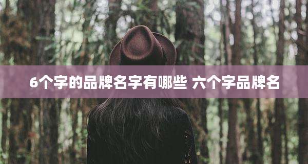 6个字的品牌名字有哪些 六个字品牌名