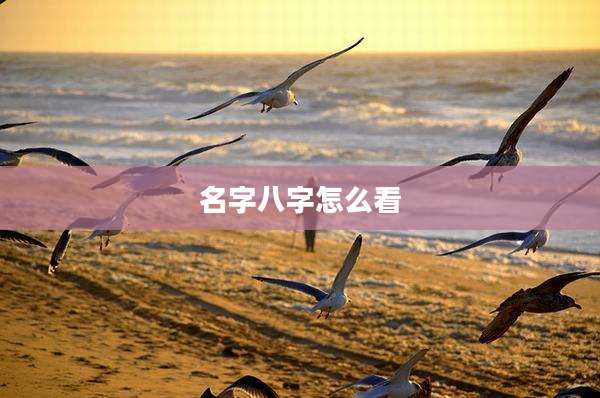 名字八字怎么看