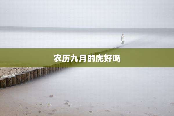 农历九月的虎好吗