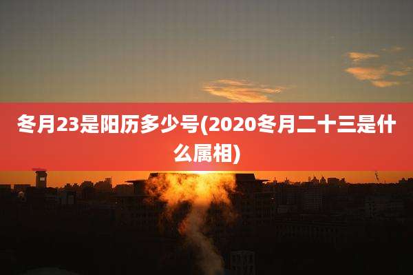 冬月23是阳历多少号(2020冬月二十三是什么属相)