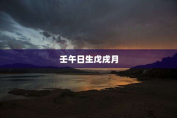壬午日生戊戌月