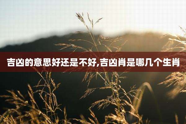 吉凶的意思好还是不好,吉凶肖是哪几个生肖