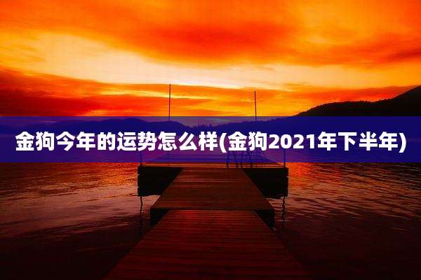 金狗今年的运势怎么样(金狗2021年下半年)