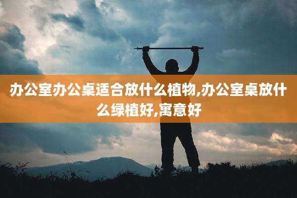 办公室办公桌适合放什么植物,办公室桌放什么绿植好,寓意好
