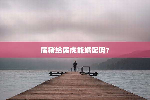 属猪给属虎能婚配吗?