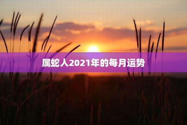 属蛇人2021年的每月运势