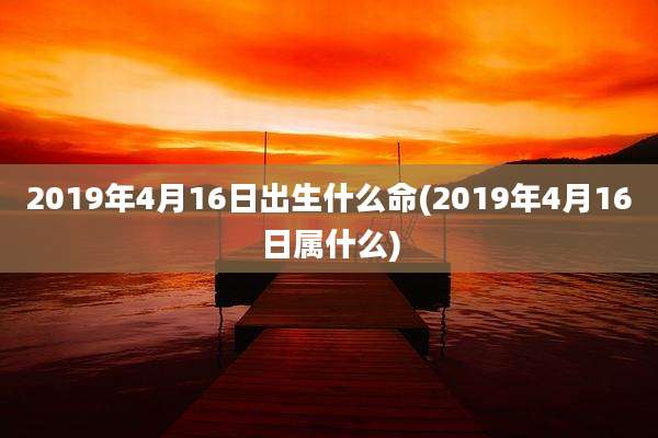 2019年4月16日出生什么命(2019年4月16日属什么)