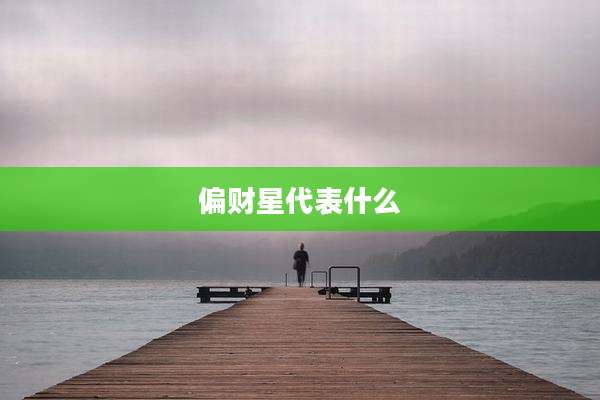 偏财星代表什么