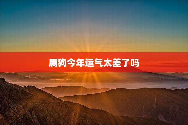 属狗今年运气太差了吗