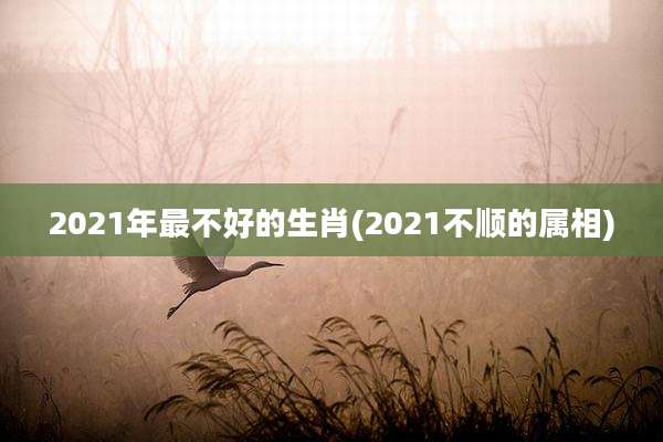 2021年最不好的生肖(2021不顺的属相)