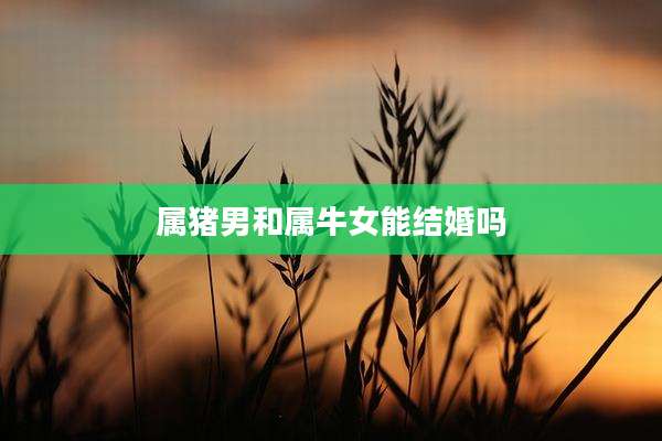 属猪男和属牛女能结婚吗