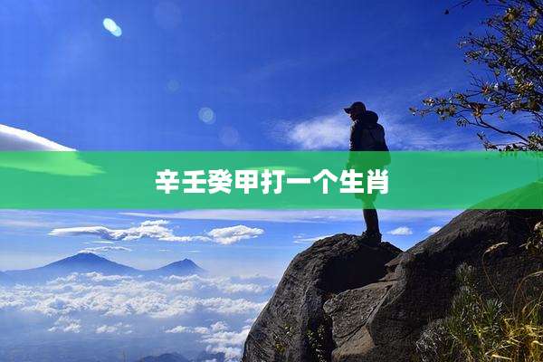 辛壬癸甲打一个生肖