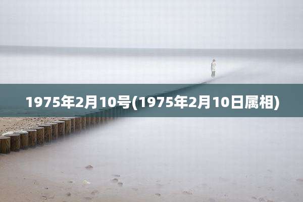 1975年2月10号(1975年2月10日属相)