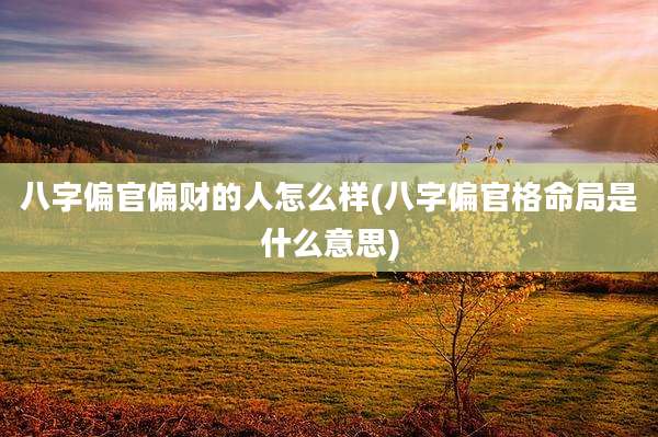 八字偏官偏财的人怎么样(八字偏官格命局是什么意思)