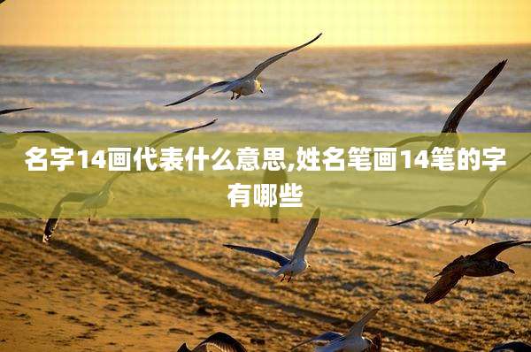 名字14画代表什么意思,姓名笔画14笔的字有哪些