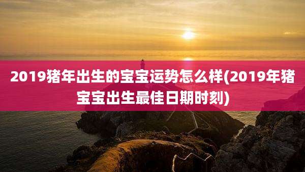 2019猪年出生的宝宝运势怎么样(2019年猪宝宝出生最佳日期时刻)