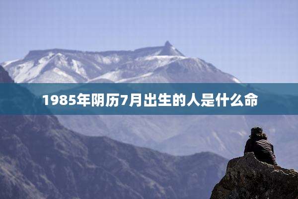 1985年阴历7月出生的人是什么命