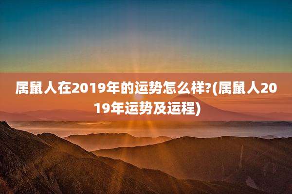 属鼠人在2019年的运势怎么样?(属鼠人2019年运势及运程)