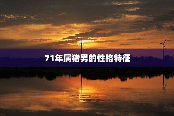 71年属猪男的性格特征