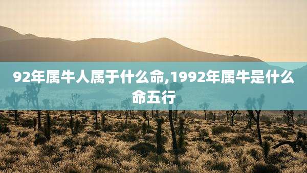 92年属牛人属于什么命,1992年属牛是什么命五行