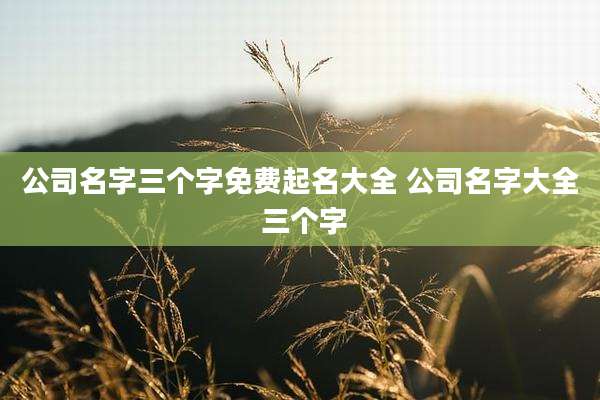 公司名字三个字免费起名大全 公司名字大全 三个字
