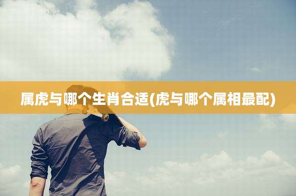 属虎与哪个生肖合适(虎与哪个属相最配)