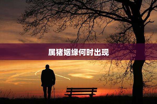 属猪姻缘何时出现