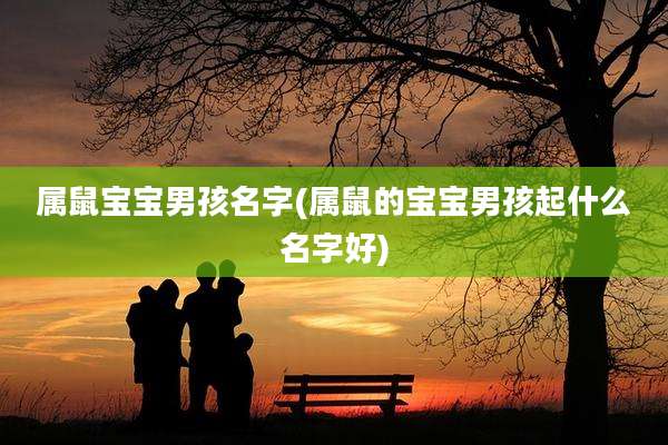 属鼠宝宝男孩名字(属鼠的宝宝男孩起什么名字好)