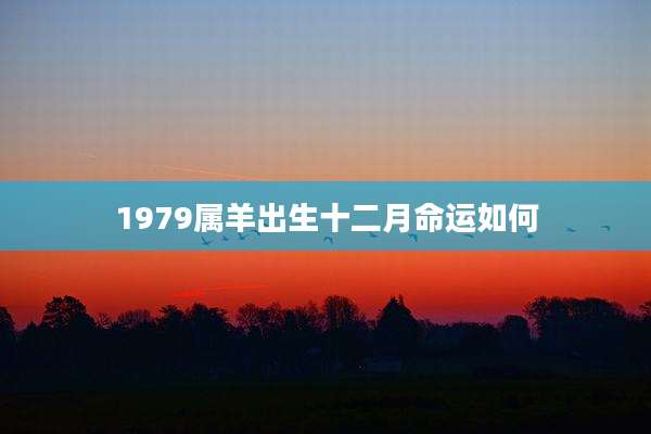 1979属羊出生十二月命运如何