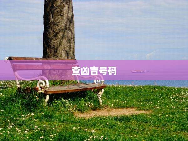 查凶吉号码