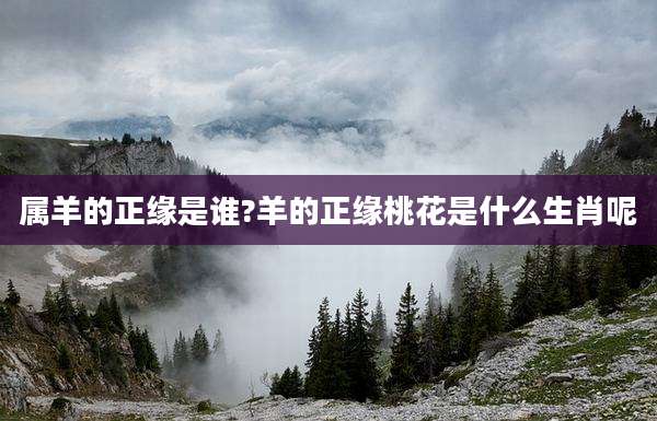 属羊的正缘是谁?羊的正缘桃花是什么生肖呢