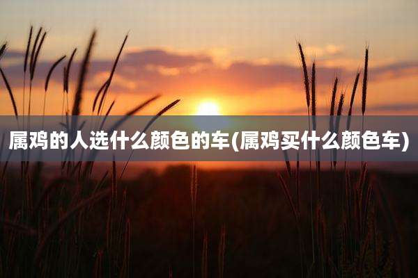 属鸡的人选什么颜色的车(属鸡买什么颜色车)