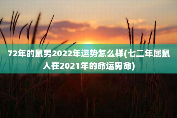 72年的鼠男2022年运势怎么样(七二年属鼠人在2021年的命运男命)