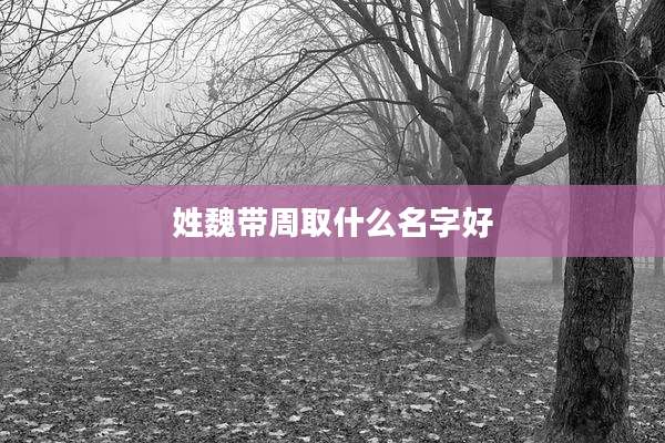 姓魏带周取什么名字好